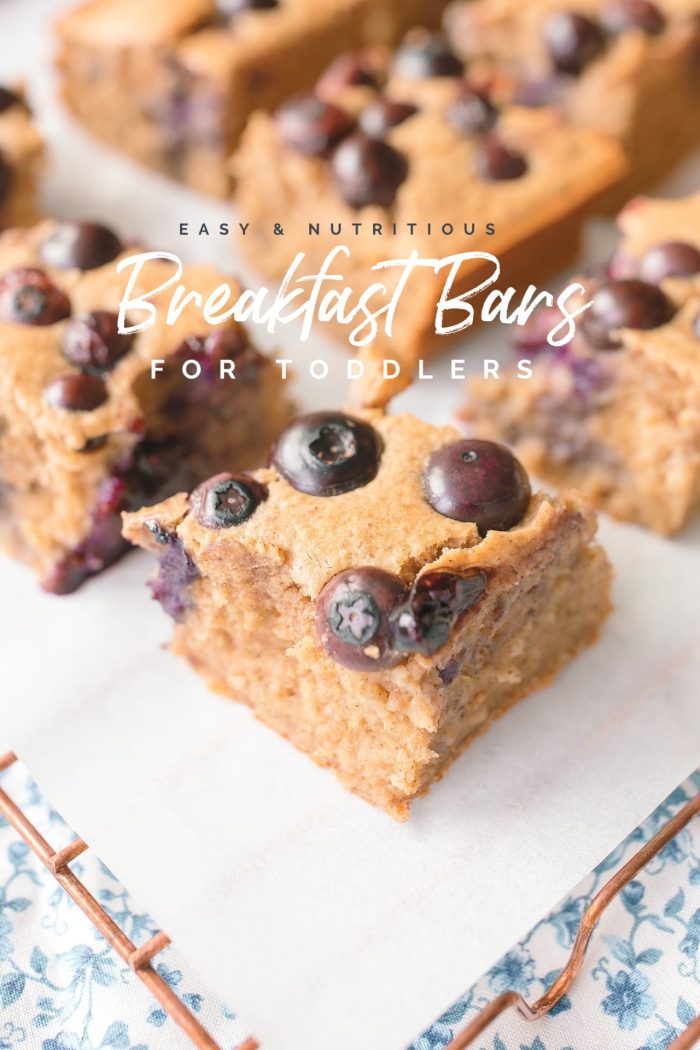 Easy Nutritious Blender Oatmeal Breakfast Bars for Toddlers