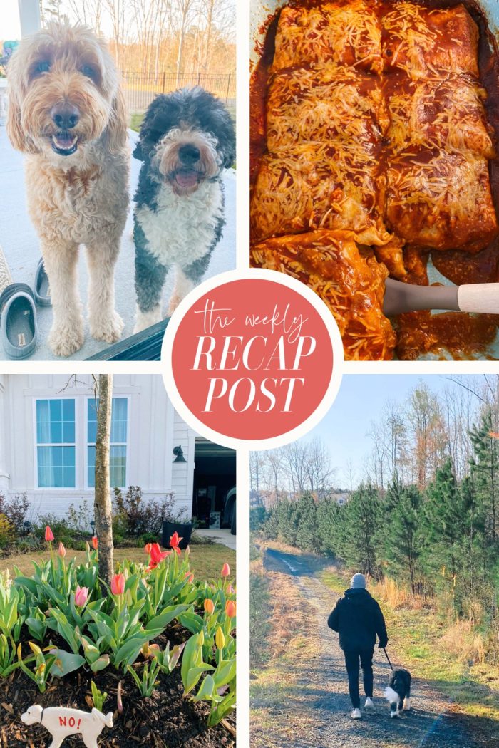 Spring Gardening, Ladies Night, Trail Walks & Food!